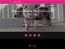 Tablet Screenshot of montanaminis.com